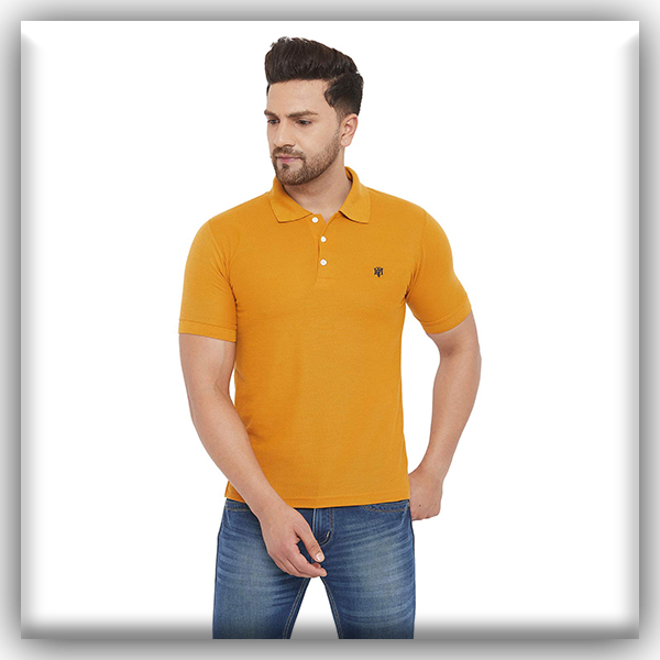 Polo T-Shirts in Rohtak